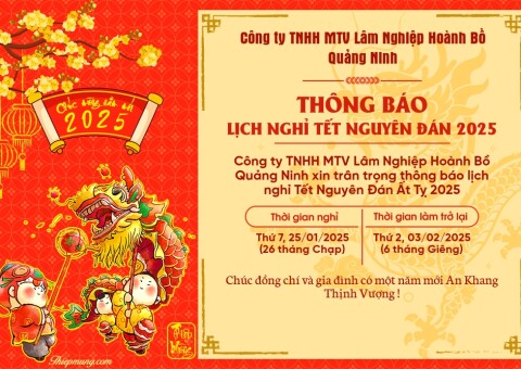 Thiepmung.com_16780ce88a1334