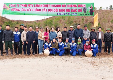 01 Ảnh đại diện bài Tết Trồng Cây 2025