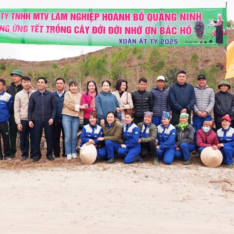 01 Ảnh đại diện bài Tết Trồng Cây 2025