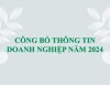 Công bố thông tin doanh nghiệp năm 2024